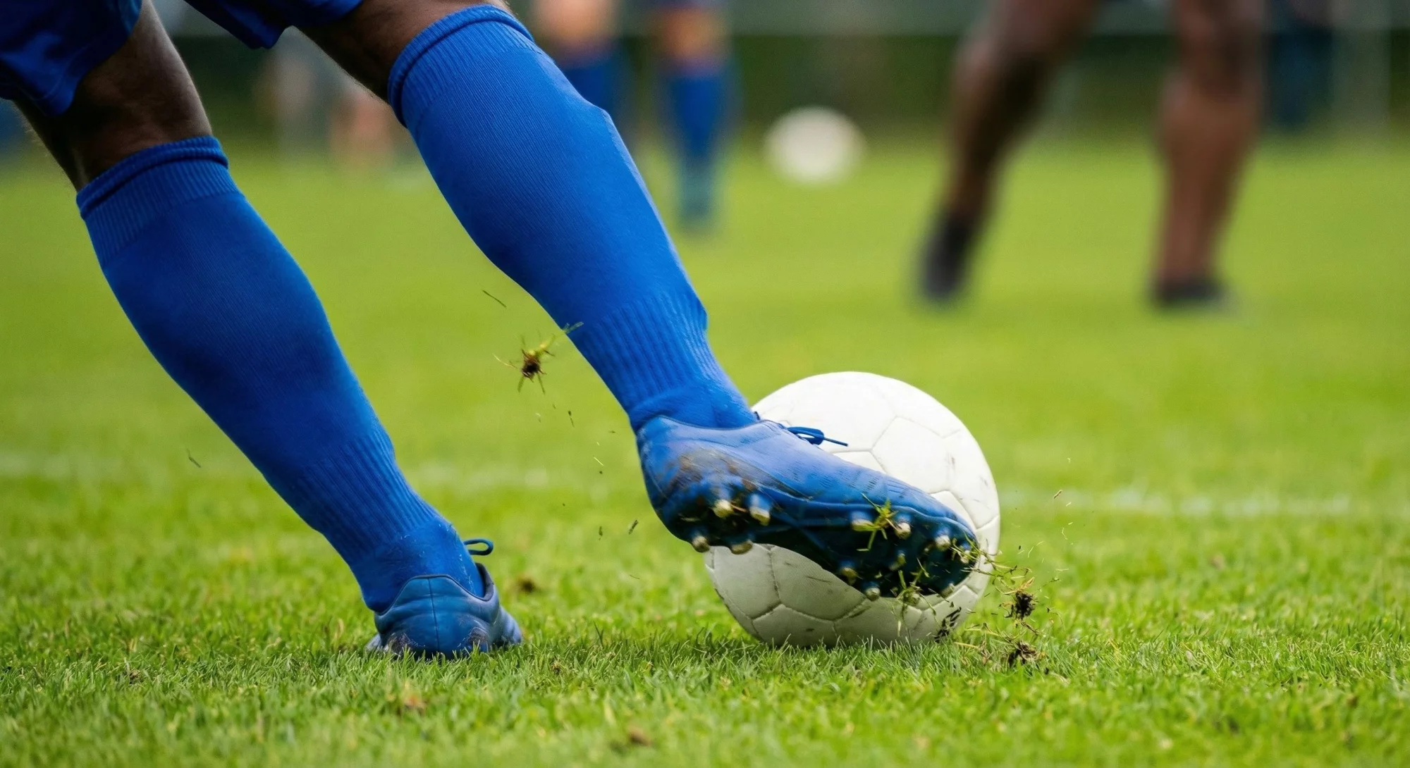 Sports & Recreation